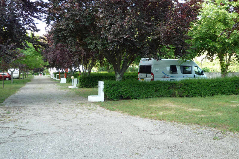 Penacova campsite