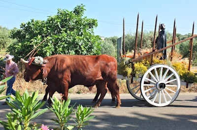 San Isidro on ox cart