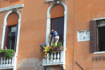 Venice window cleaner