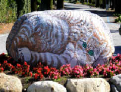 painted cat boulder Cannero Riviera