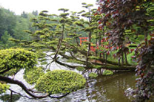 Japanese garden Maulvrier