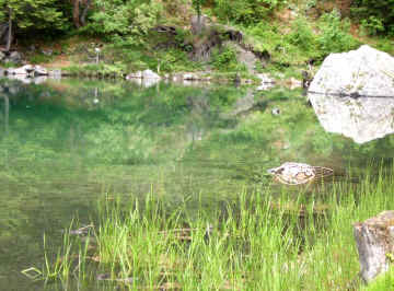 Lac Vert image 3