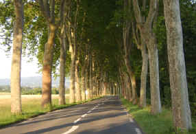 Typical French road near Revel