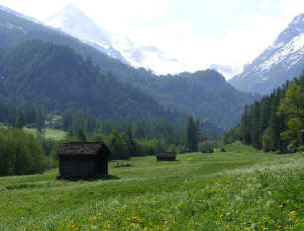 Evolène - alpine meadows